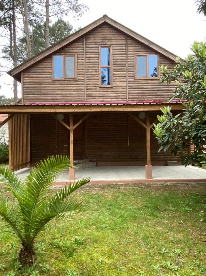 Green Cottage Shekvetili Ureki Exterior foto